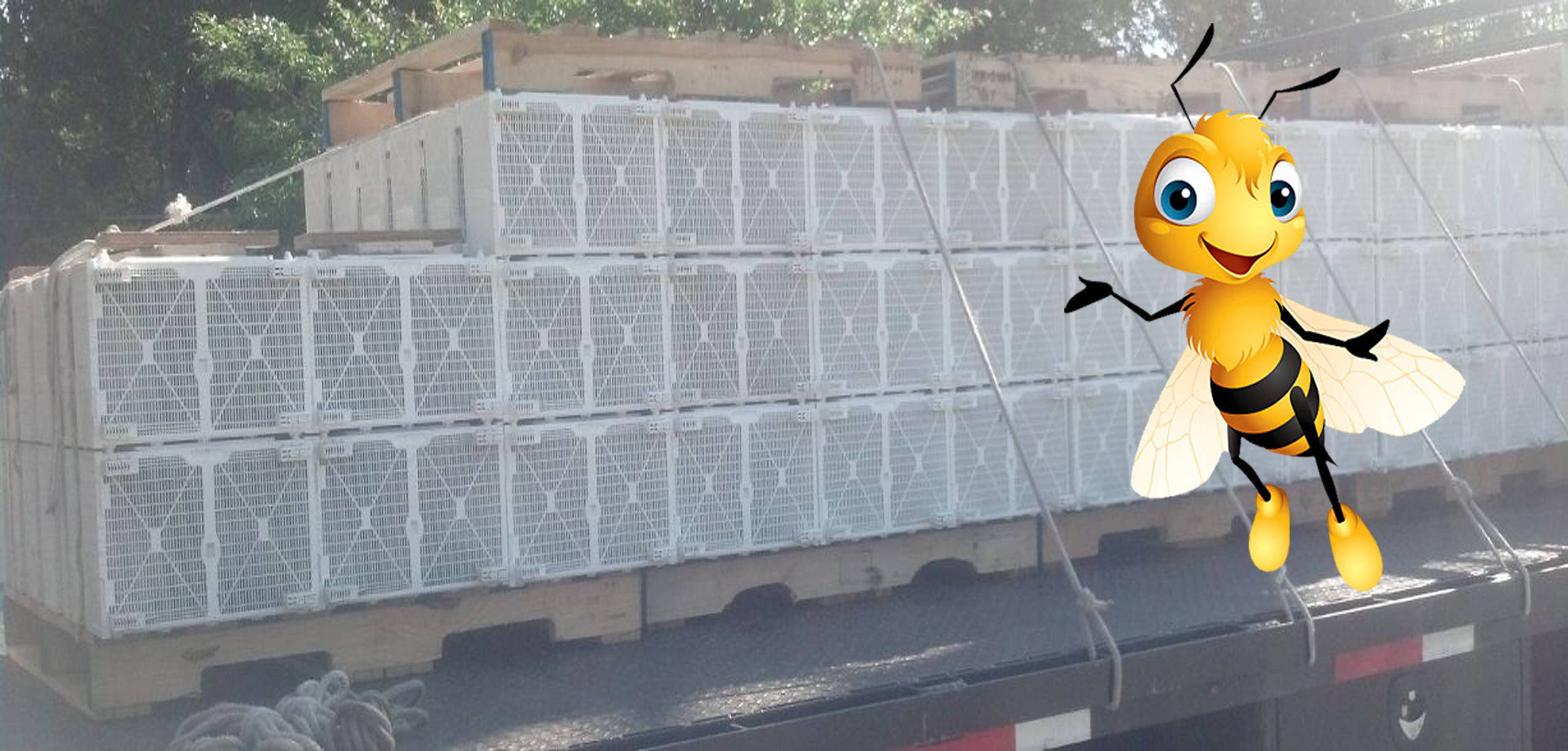Mass Transit For Your Bees